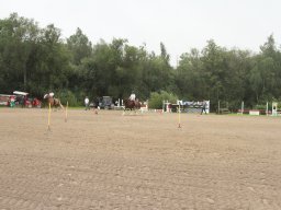 IMG_5495_web